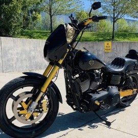 Gold carbon tank emblems for Harley Gold carbon tank emblems for Harley