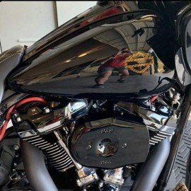 Gold carbon tank emblems for Harley Gold carbon tank emblems for Harley
