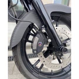 Carbon inserts for standard Brembo calipers