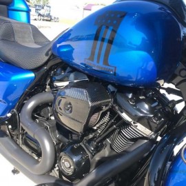 Carbon air filter cover