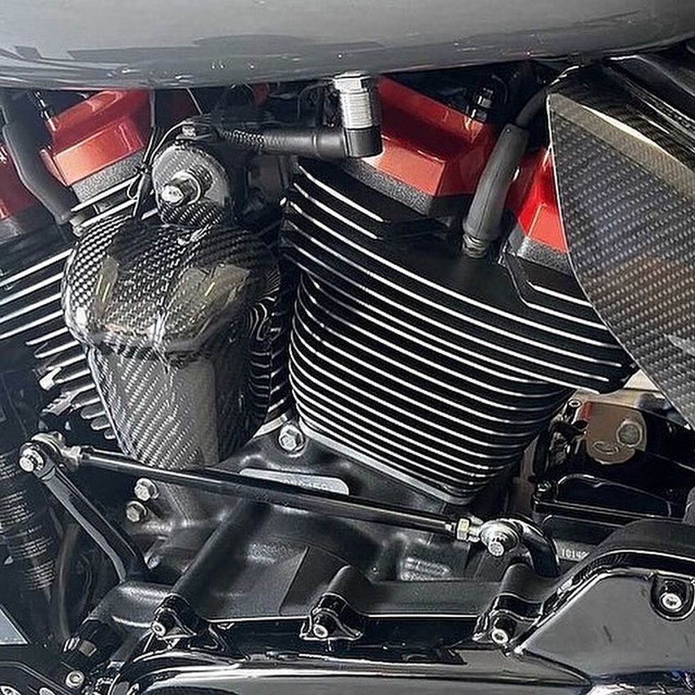 Carbon horn M8 for '09