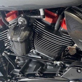 Carbon horn M8 for '09