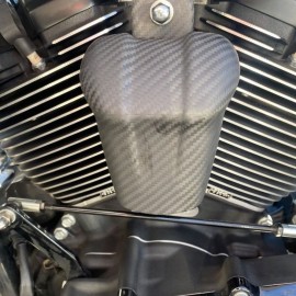 Carbon horn M8 for '09