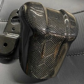 Carbon horn M8 for '09